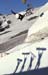 action-TIM_ORR