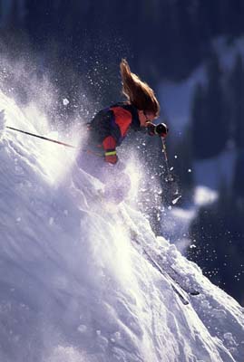 SkiStock